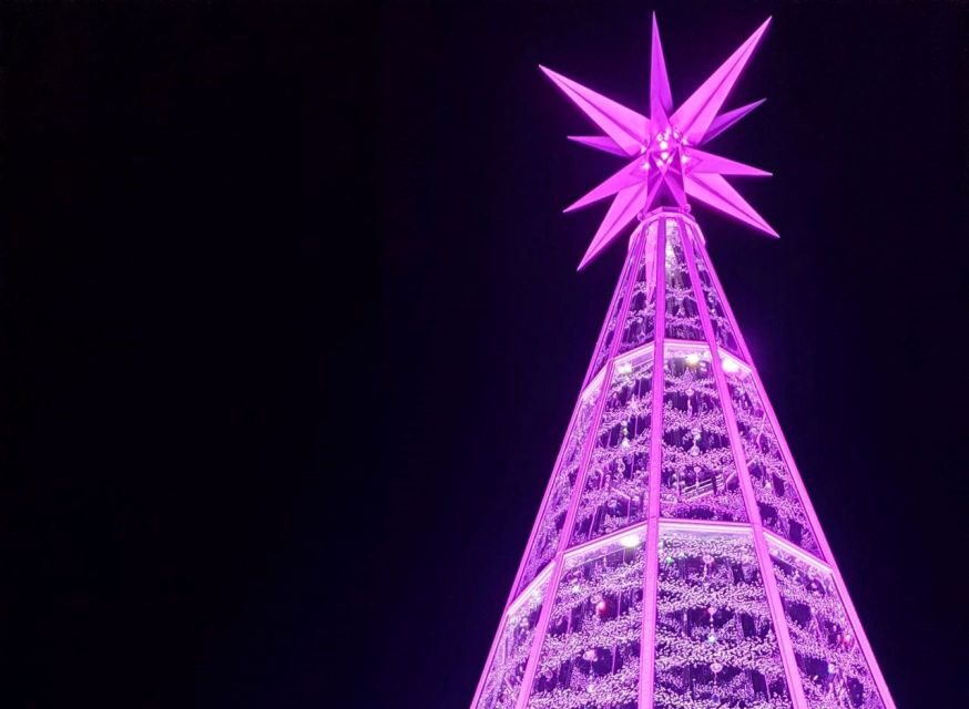 Innsbruck: Christmas Tour with a licensed guide - Should You Book This Innsbruck Christmas Tour?