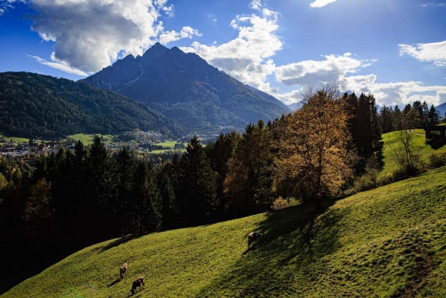 Innsbruck: Panoramic hike over the Telfer Wiesen - Just above Telfes and back via Fulpmes: a loop that avoids repetition