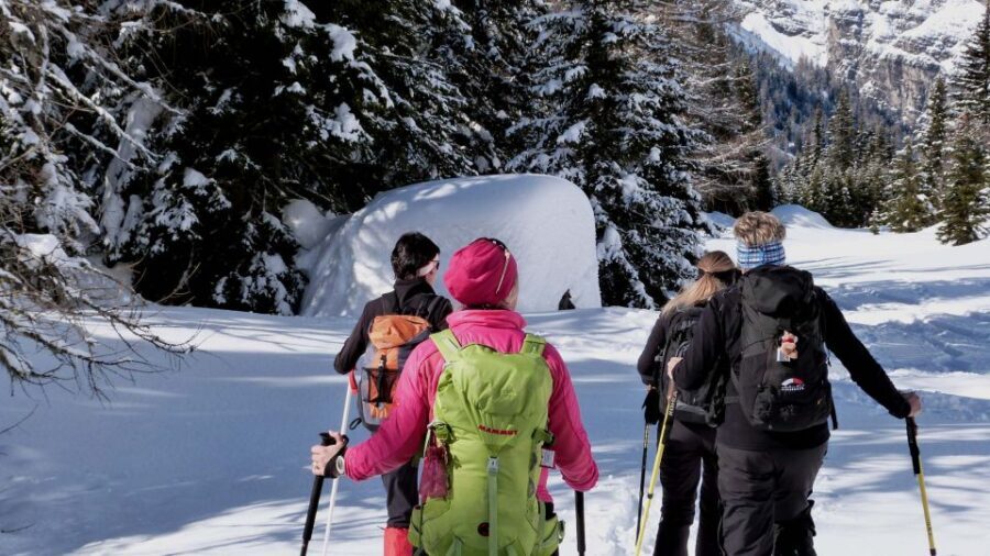 Innsbruck: Priv. Guided Snowy Mountain Hike /Snowshoe´s - Why this private snowshoe hike feels different in Tyrol