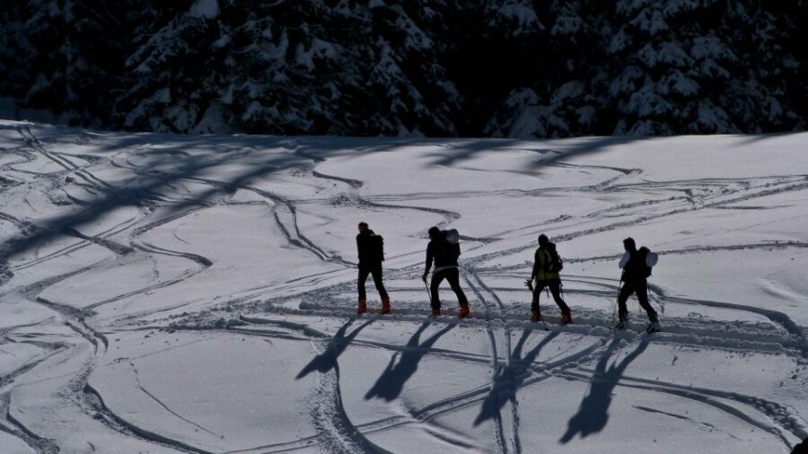 Innsbruck: Priv. Guided Snowy Mountain Hike /Snowshoe´s - Who this hike suits best (and who should pass)