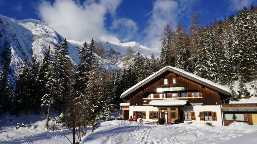 Innsbruck: Snowshoe Tours with Tyrolean Guide Transfer inkl. - Key highlights worth planning for
