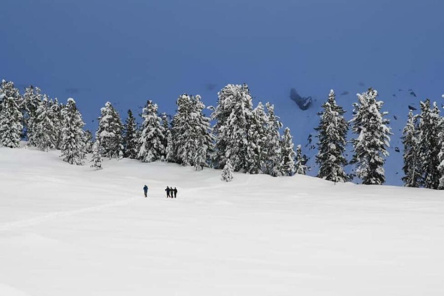 Innsbruck: Snowshoe Tours with Tyrolean Guide Transfer inkl. - Finding the Quiet: Panoramic Views Over Innsbruck