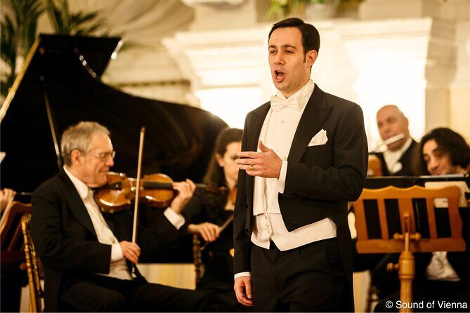 Kursalon Vienna: Strauss and Mozart Concert With Dinner - Who this is best for, and who may want a different plan