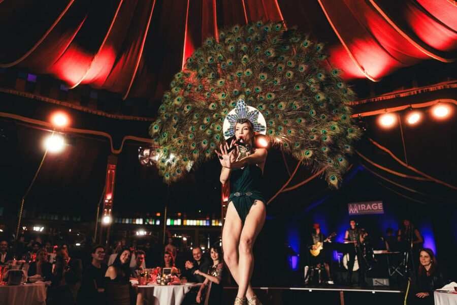 Mirage Vienna: Burlesque Spectacular – Dinner Show - Key Points at a Glance