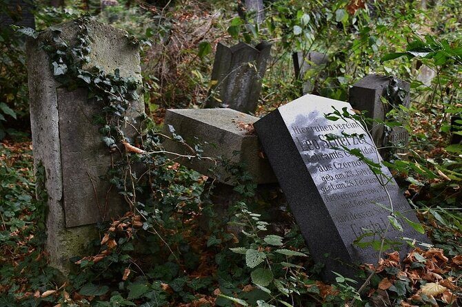 Mobile puzzle rally tour at the Vienna Central Cemetery - Key Highlights (What Makes This One Work)