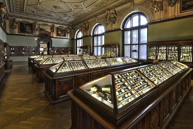 Natural History Museum Vienna Entry Tickets - Cafe breaks at the Natural History Museum: vegan cake and seating rules