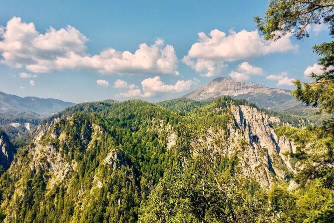 Ötschergräben Grand Canyon of Austria - Duration, effort, and the best kind of traveler for this hike