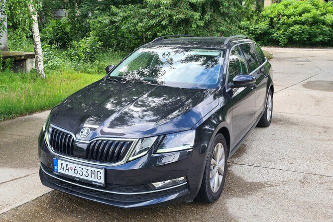 PrivaeTransfer from Vienna to Salzburg with sightseeing stop - Pickup in the Schwechat Area: Hotel or Airport Arrival Hall
