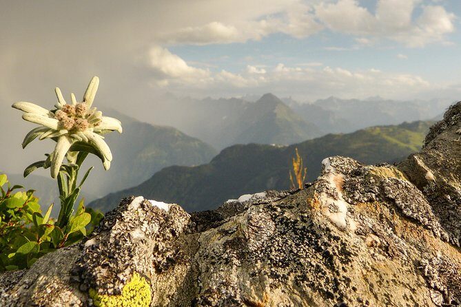 Private Eagle's Nest & The Hills are Alive - Kapitelplatz-style monuments, Edelweiss performances, and the Mozart Bridge moment