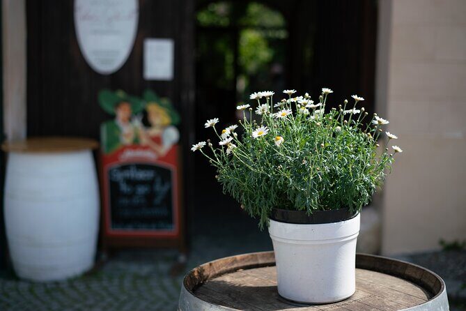 Private Guided Full Day Tour to charming Burgenland region with Wine tasting - The guide makes the difference: Geni and Jane as examples