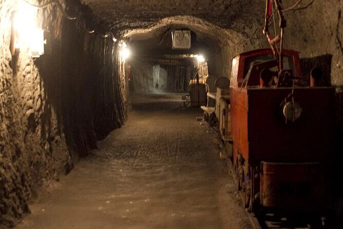 Private guided tour from Vienna to Hallstatt with Skywalk & Salt Mine Experience - Salzwelten Hallstatt salt mine: slides, lakes, and a 4,000-year story