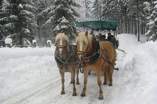 Private Horse-Drawn Sleigh Ride from Salzburg - Key Things That Make This Ride Worth Your Time