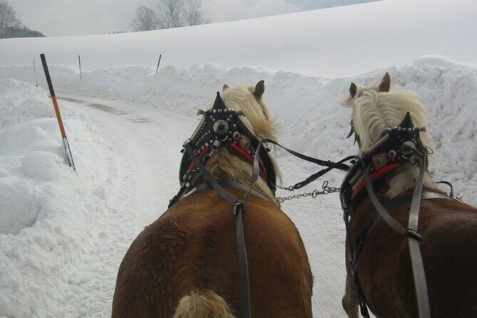 Private Horse-Drawn Sleigh Ride from Salzburg - Salzburg to Faistenau: Why the Walk Outside the City Matters