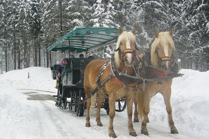 Private Horse-Drawn Sleigh Ride from Salzburg - Warm Drinks and Optional Stops: A Small Win With One Catch