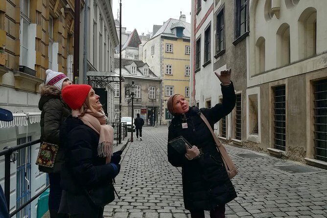 Private Introduction to Vienna Walking Tour - Starting at Michaelerplatz: Hofburg, the Power Center, and the Buildings That Tell You Who Ruled