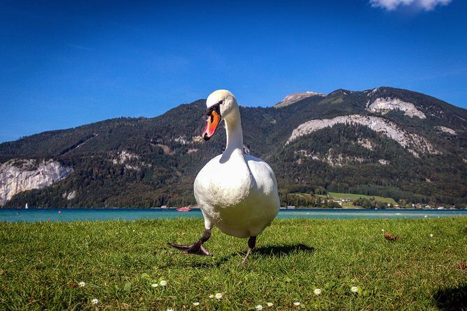 Private Lake District, St. Wolfgang and St. Gilgen Tour - A smooth private day on Salzburg’s lake roads