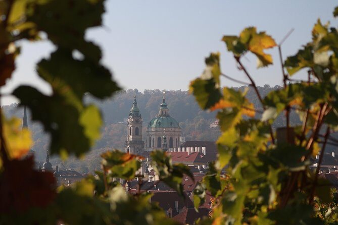 Private Scenic Transfer from Salzburg to Prague with 4h of Sightseeing - Getting the car right: sedans, MPVs, and large vans for real luggage