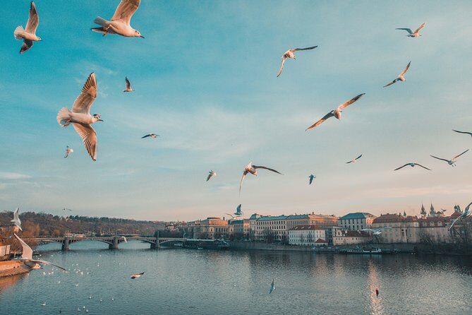 Private Scenic Transfer from Salzburg to Prague with 4h of Sightseeing - Your sightseeing menu: Konopiště, Hluboká nad Vltavou, and Český Krumlov
