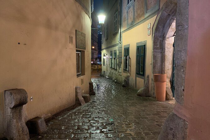 Private Spooky Vienna Ghost Tour - The 7:30 pm Logistics: Easy Start, Smooth Finish
