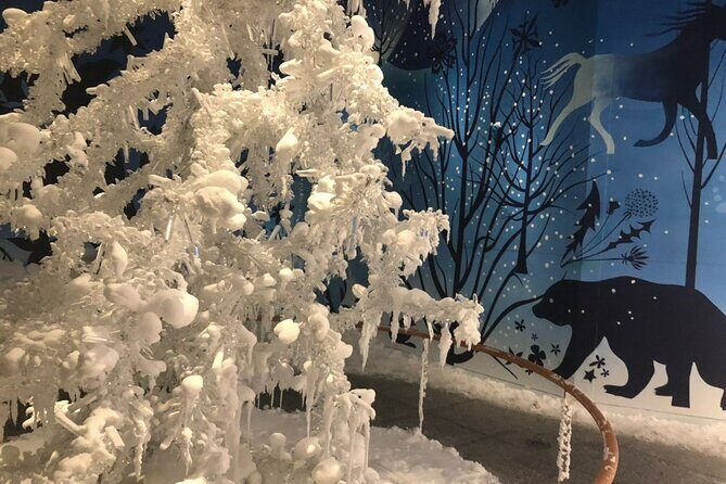 Private Tour of Swarovski Crystal World from Innsbruck - Booking Practicalities That Affect Your Day