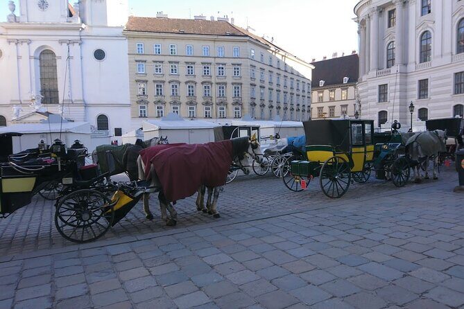 Private Transfer from Venice to Vienna or Vienna to Venice - Pickup in Vienna and Venice: where you’ll actually meet