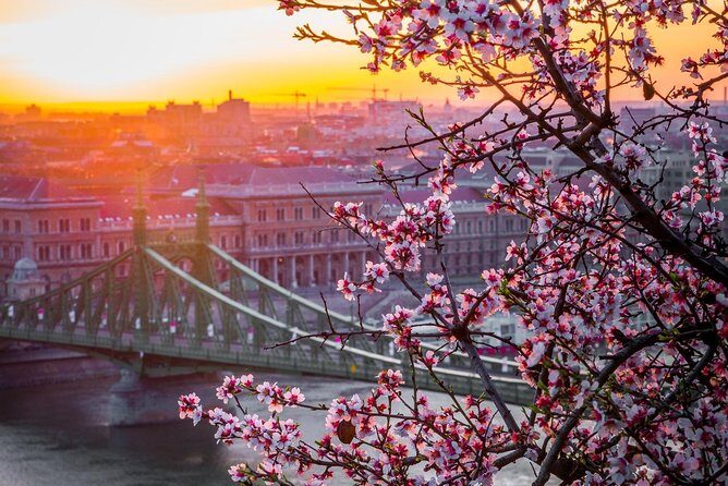 Private Transfer from Vienna to Budapest with 2 hours for sightseeing - What’s included, what isn’t, and what to plan for