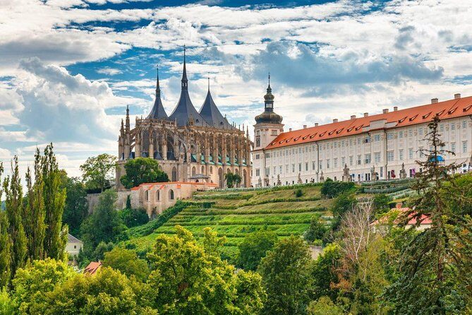 Private Transfer from Vienna to Prague with 1 hour Stop in Kutna Hora - Your Driver and the Comfort Level in the Car