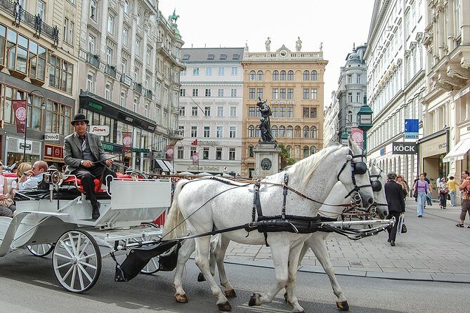 Private Vienna City Tour with Schonbrunn Palace Visit - Key points worth knowing