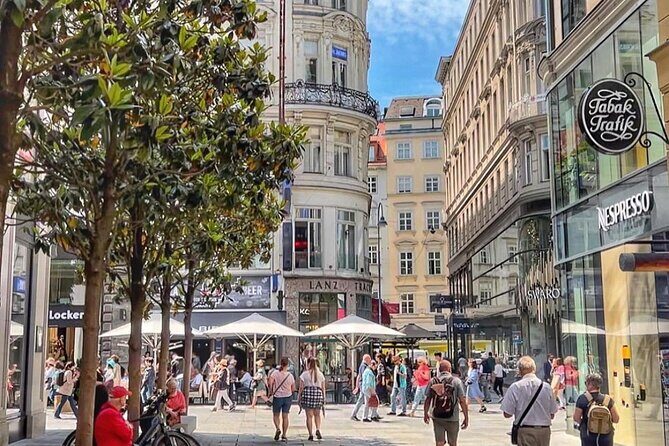 Private Vienna Walking Tour with Private Local Guide - Guide quality and reliability: the part you should take seriously