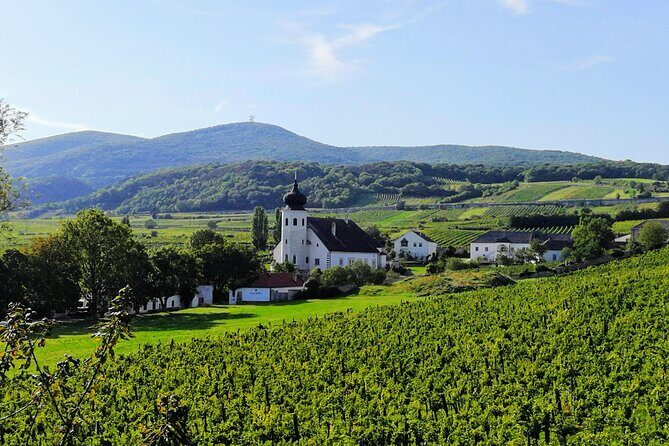 Private Vienna Woods Wine Tour - Winter Thermal Region Traditions: Monastic Winemaking and a Sekt Welcome