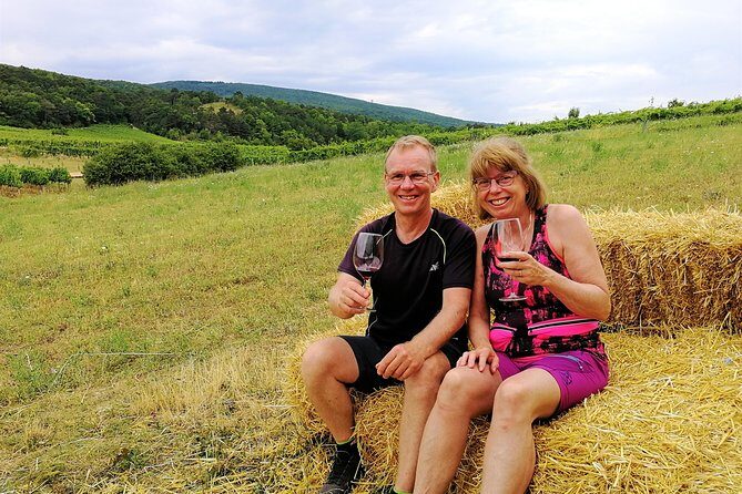 Private Vienna Woods Wine Tour - Price and Group Size: Is $960 Worth It?