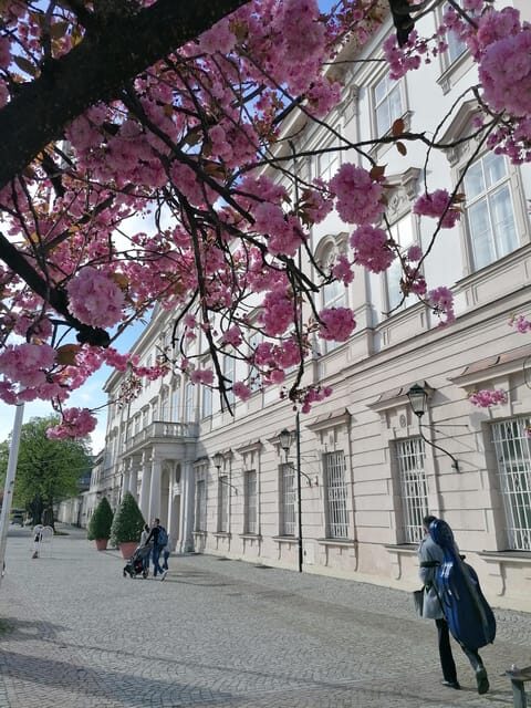 Salzburg: Classical Music Concert at the Mirabell - Mozart, Bach, and the Real-World Variety of the Program