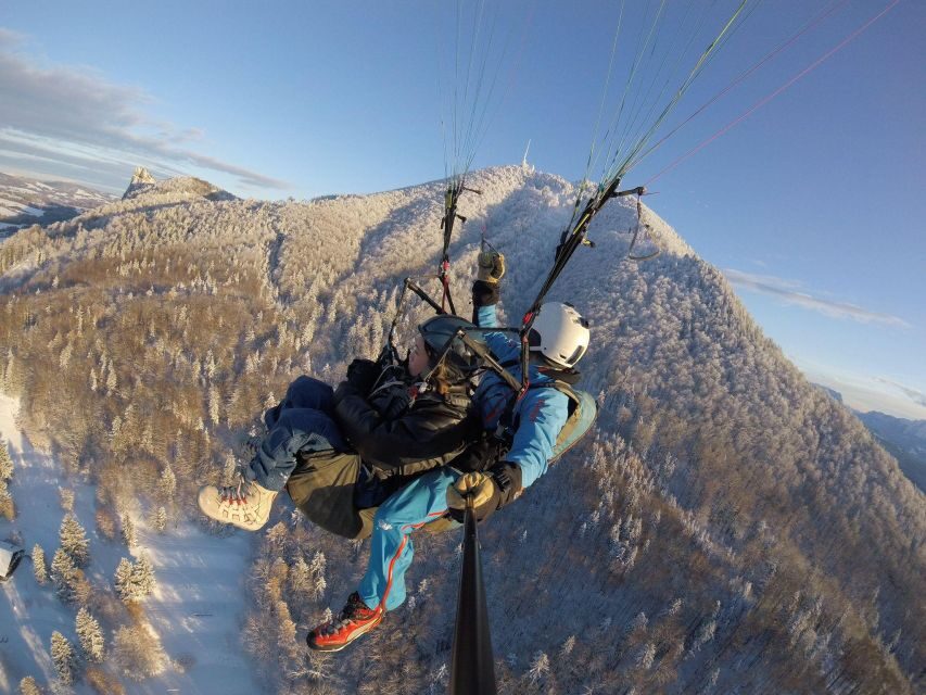 Salzburg like an eagle: tandem paragliding from Gaisberg - Getting to Gaisberg: Bus 151 From Mirabell Platz