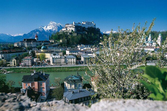 Salzburg On the Traces of Mozart Private Tour - Mozartplatz Photo Stop: Statue Views and the Widow Connection