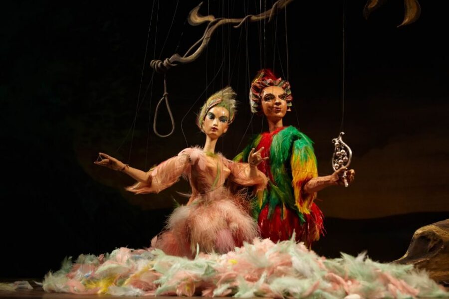 Salzburg: The Magic Flute at Marionette Theater Ticket - Practical tips to help you enjoy it more