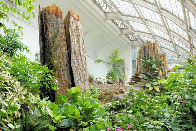 Schmetterlinghaus - Imperial Butterfly House Vienna Admission Ticket - A Quick Walk to the Hofburg’s Imperial Butterfly House