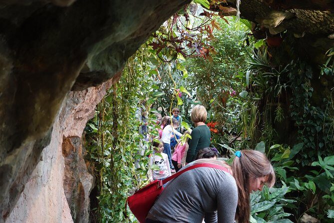 Schmetterlinghaus - Imperial Butterfly House Vienna Admission Ticket - Price and Ticket Tactics: Pre-Booked vs Buying at the Door