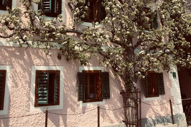 Self-Guided Private Tour of Hallstatt. Best photo-points, panoramic views, cafes - Stop 4: Cultural Landscape viewpoint for a mountain backdrop connection