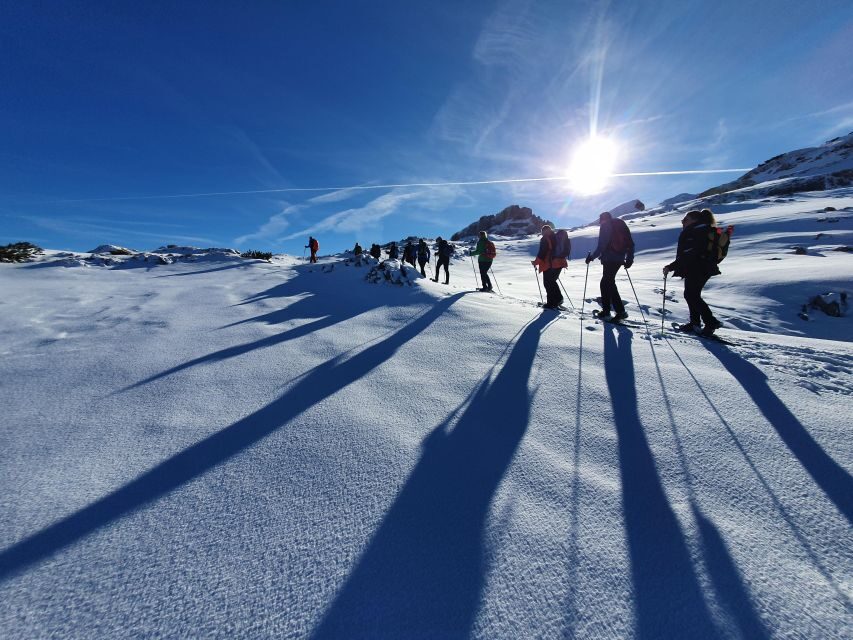 Snowshoe tour Ifen/Gottesacker Allgäu Kleinwalsertal - Key Highlights You’ll Care About