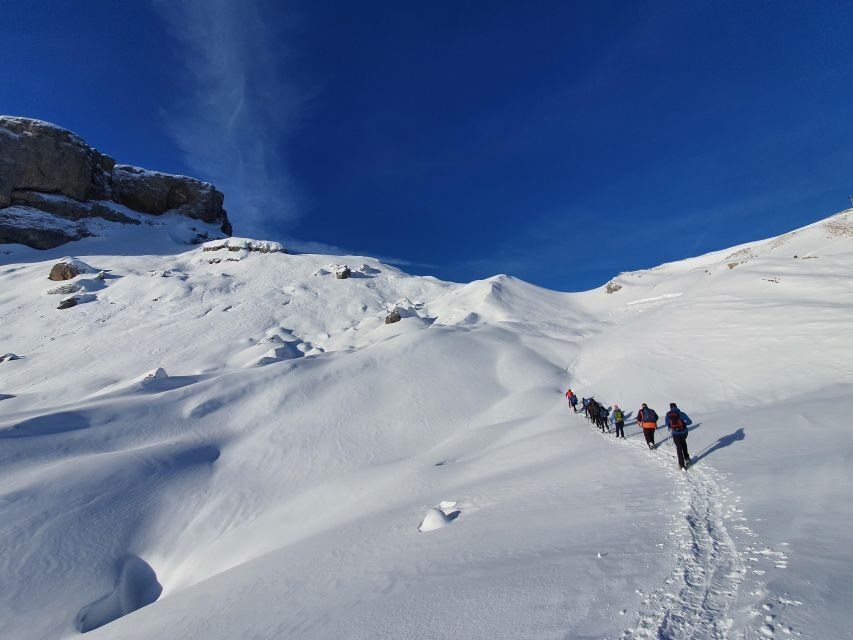 Snowshoe tour Ifen/Gottesacker Allgäu Kleinwalsertal - Getting There Without Morning Stress: Ifenbahn Parking and Bus Line 5