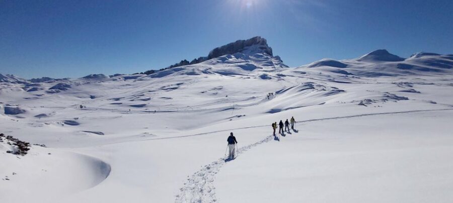 Snowshoe tour Ifen/Gottesacker Allgäu Kleinwalsertal - FAQ