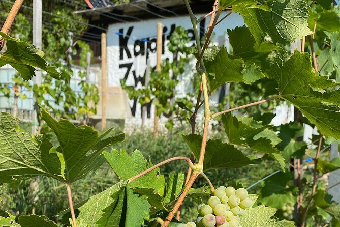 Taste and Tour Small Organic Wineries with a Winemaker - Key highlights I’d mark on your map