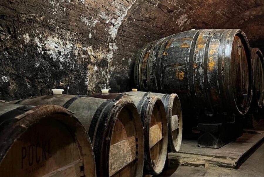 Taste and Tour Small Organic Wineries with a Winemaker - The most praised parts that should guide your decision