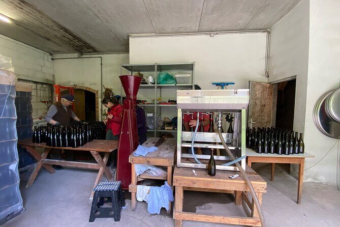 Taste and Tour Small Organic Wineries with a Winemaker - Why this Lower Austria wine tour feels different