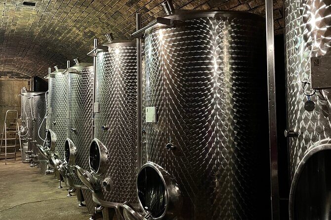 Taste and Tour Small Organic Wineries with a Winemaker - Kapitel Zwei Wine: see the plot, not just the pour