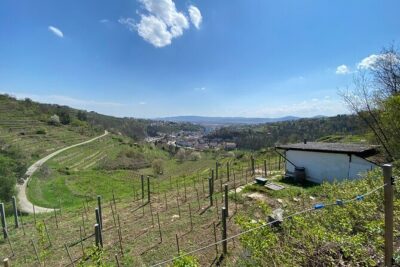 Taste and Tour Small Organic Wineries with a Winemaker - Meeting at Bahnhofpl. 3 and settling into the day