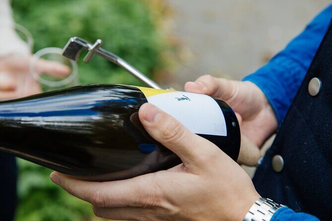 Taste and Tour Small Organic Wineries with a Winemaker - Off-the-beaten-path Niederösterreich and those valley views