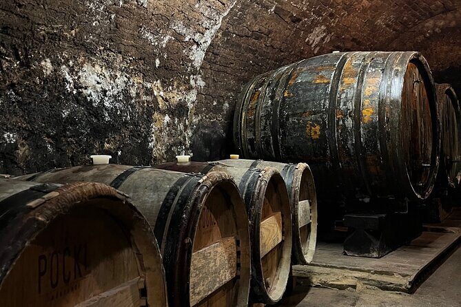 Taste and Tour Small Organic Wineries with a Winemaker - Timing, walking, and who this private tour suits best
