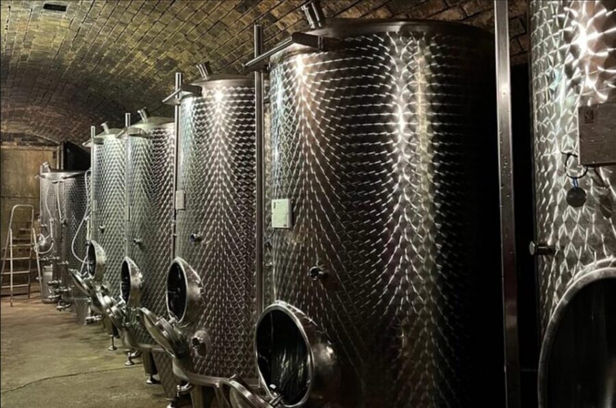 Taste and Tour Small Organic Wineries with a Winemaker - Price and value: is $111 per person a fair deal?