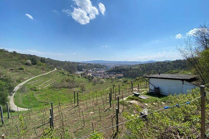 Taste and Tour Small Organic Wineries with a Winemaker - Meeting at Bahnhofpl. 3 and settling into the day